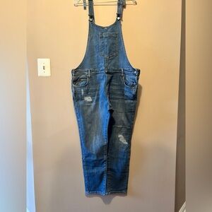 Pilcro and the Letterpress Blue Denim Overalls